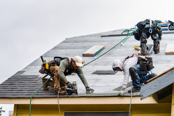Professional Roofing technician working in West Union, MN